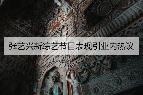 张艺兴新综艺节目表现引业内热议